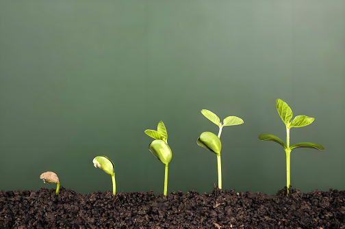 downloaded-image (7).png